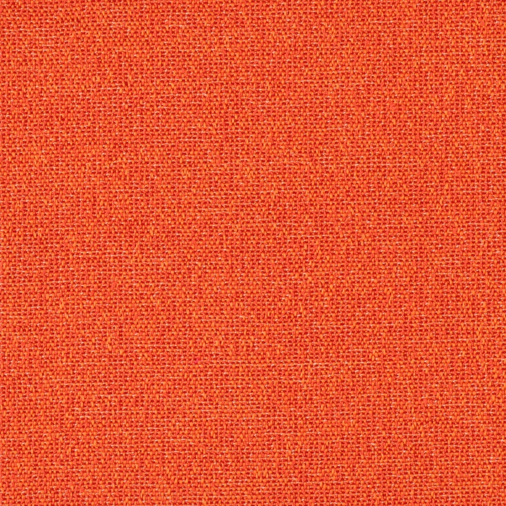 Austin Orange