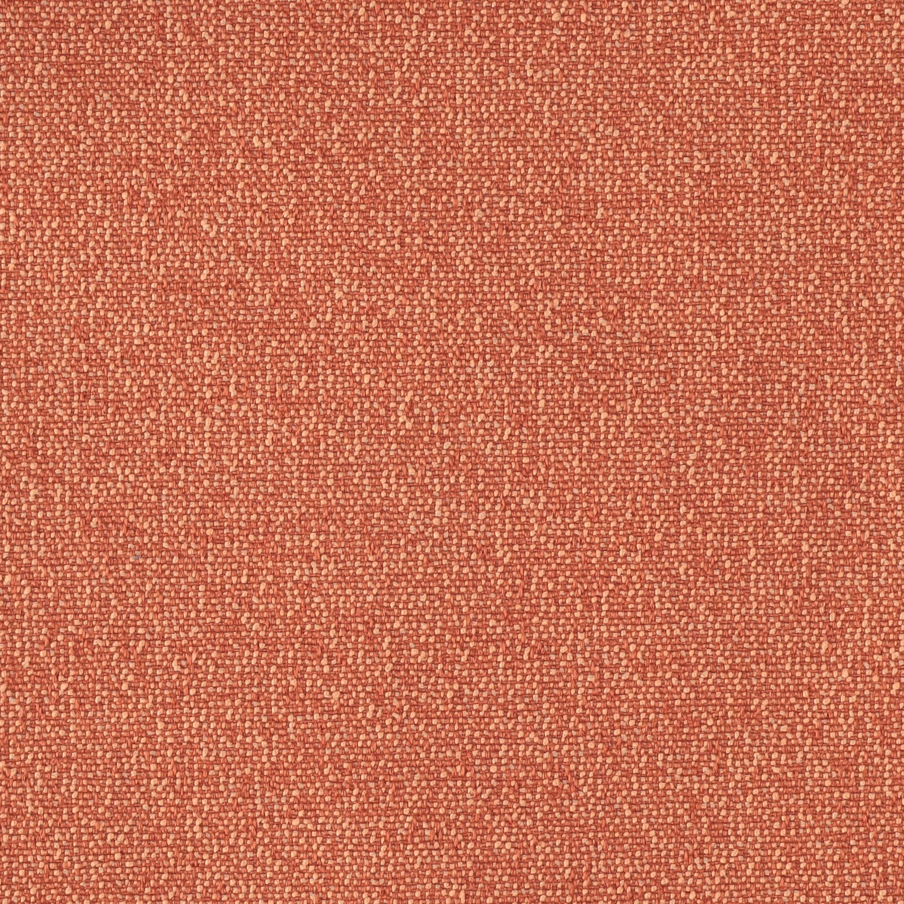 Austin Coral