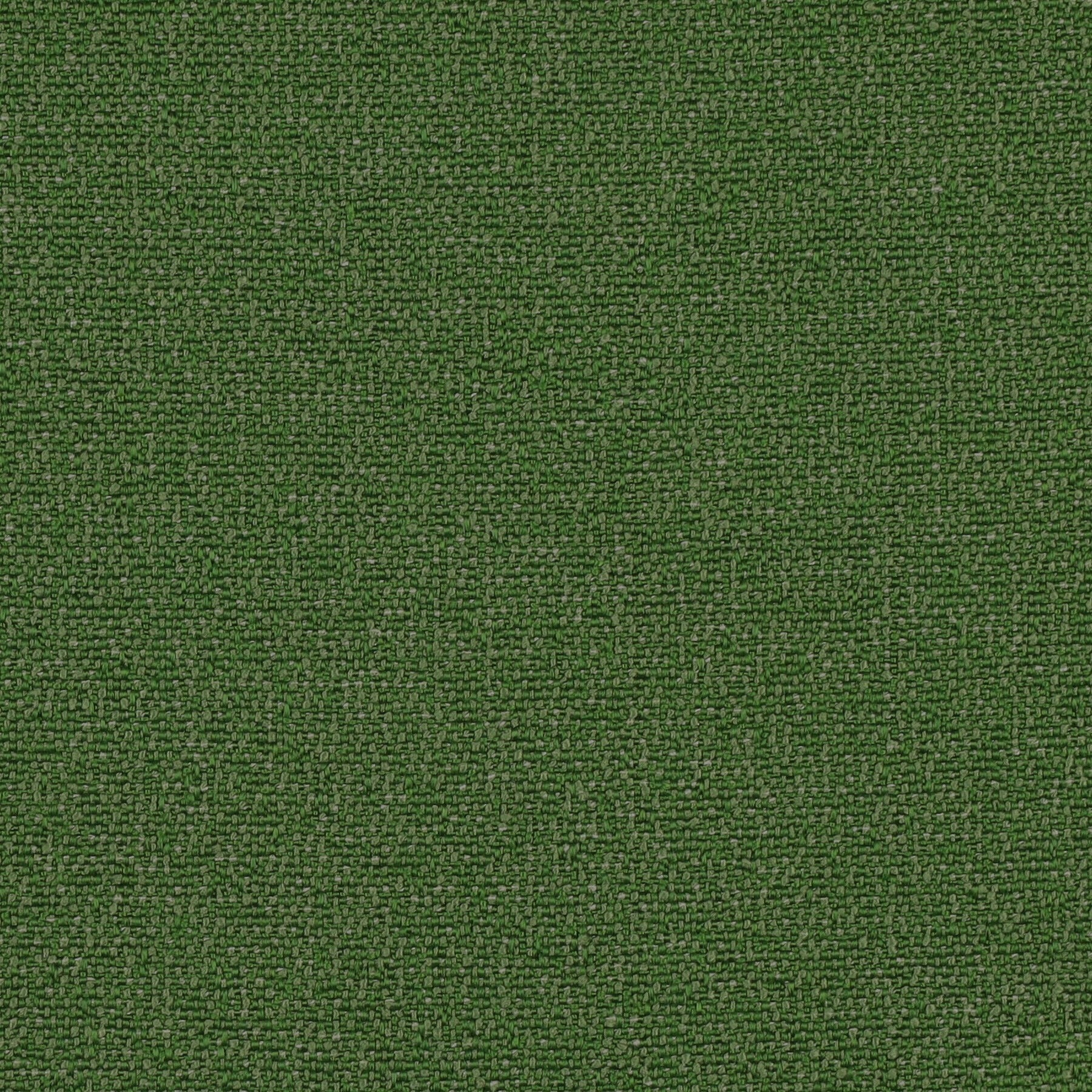 Austin Grass