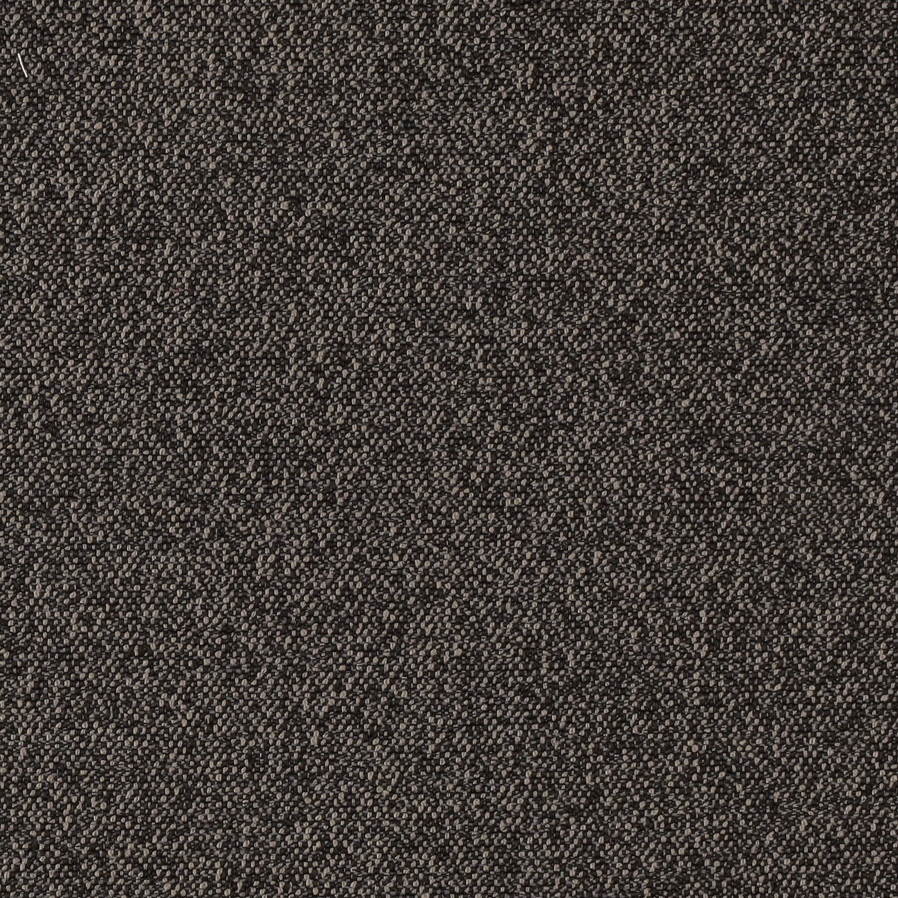 Austin Coal